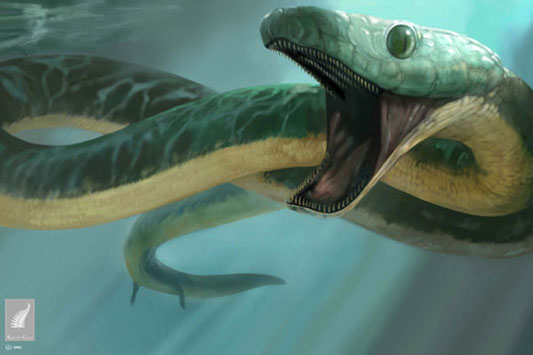 Картина дня Pachyrhachis problematicus. доисторические животные. змеи
